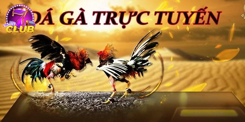 Giao diện đẹp mắt của ĐÁ GÀ SAO789