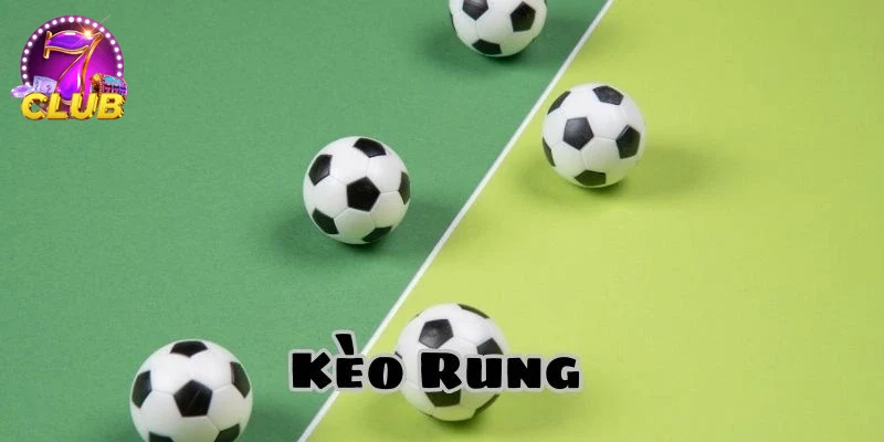 Hình ảnh khuyến mãi hấp dẫn dành cho người chơi cược rung mới