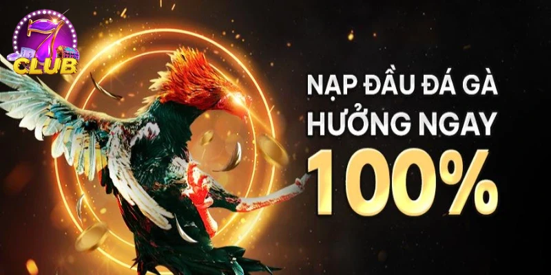 Người chơi hào hứng nhận thưởng khuyến mãi đá gà tại SAO789