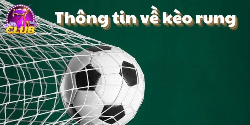 Người dùng trải nghiệm đặt cược rung qua ứng dụng điện thoại